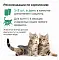 ORGANIX лакомство для котят и кошек крем-суп из филе трески #4